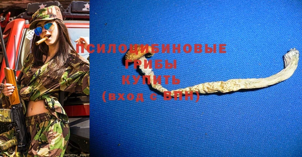 PSILOCYBIN Алексин