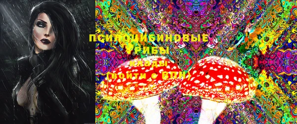 PSILOCYBIN Алексин