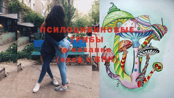 бошки Алзамай