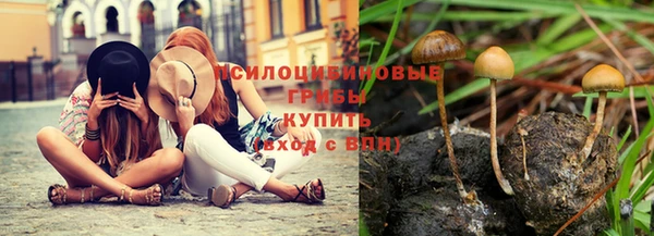 Альфа ПВП Абаза