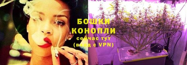 PSILOCYBIN Алексин
