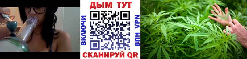 закладки  Верхоянск  Конопля тримм 